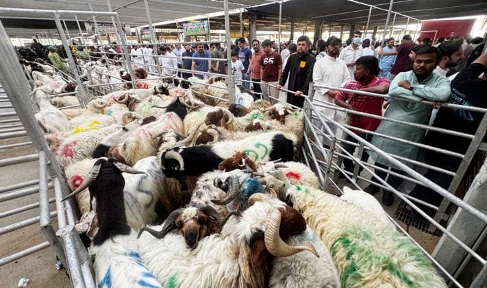 (260527) -- CAPITAL GOVERNORATE, May 27, 2026 -- People stand in line waiting for their turn to slaughter livestock for Eid al-Adha at a slaughterhouse in Capital Governorate, Kuwait, May 27, 2026. (Photo by Xinhua) KUWAIT-CAPITAL GOVERNORATE-EID AL-ADHA-LIVESTOCK-SLAUGHTERHOUSE Asad 
