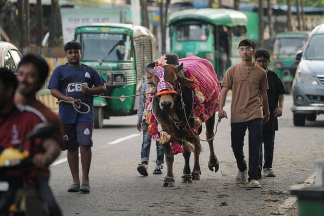 May 27, 2026: Chattogram, Bangladesh - Residents of Chattogram city lead decorated cattle show through city streets ahead of Eid-ul-Adha. The Muslim festival of sacrifice, when millions of animals are traded and prepared for ritual sacrifice across Bangladesh.  - ZUMAr143 20260527_zap_r143_001 Copyright: xMdxRafayatxHaquexKhanx