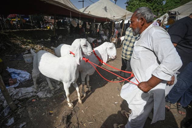NEW DELHI, INDIA - MAY 27: Vendors are seen with the goats for sale at a livestock market ahead of Bakri Eid outside Jama Masjid, on May 27, 2026 in New Delhi, India. Eid al-Adha will be celebrated across most parts of India on May 28, 2026, after the Dhul-Hijjah crescent moon was not sighted earlier this week. Several governments and institutions revised their holiday schedules. While Saudi Arabia, the United Arab Emirates, and some other countries are marking the occasion today, May 27. (Photo by Sanchit Khanna Hindustan Times ) Eid al-Adha 2026