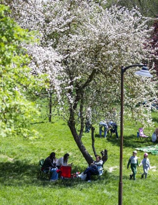 Visitors flock to Golcuk Nature Park during Eid holiday in Turkiye s Bolu BOLU, TURKIYE - MAY 27: Visitors seeking to spend the Eid al-Adha holiday surrounded by nature create crowds at Golcuk Nature Park in Bolu, Turkiye, on May 27, 2026. Zafer Goder Anadolu Bolu Turkey. Editorial use only. Please get in touch for any other usage.  Copyright: x2026xAnadoluxZaferxGoderx