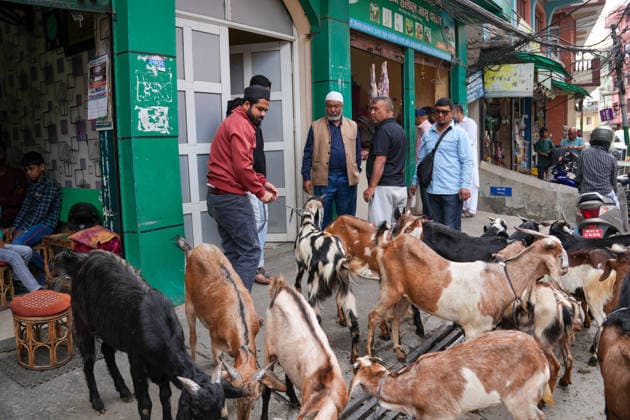 Eid al-Adha in Nepal LALITPUR, NEPAL-MAY 28: Nepali Muslims unload goats for sacrifice ahead of Eid al-Adha, also known as the Feast of Sacrifice, in Lalitpur, Nepal, on May 28, 2026. Muslims around the world celebrate Eid al-Adha as one of the most important festivals in the Islamic calendar, marked by prayers, family gatherings, and acts of charity. Sunil Pradhan Anadolu Lalitpur Nepal. Editorial use only. Please get in touch for any other usage.  Copyright: x2026xAnadoluxSunilxPradhanx