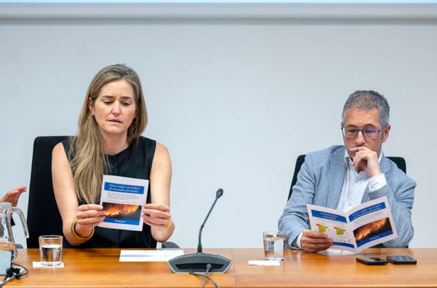 Aagesen presents the new forest fire danger index The Third Vice President and Minister for Ecological Transition and the Demographic Challenge, Sara Aagesen, during the presentation of the new forest fire danger index, at the State Meteorological Agency Aemet, on May 28, 2026, in Madrid Spain The visit of the Vice-President and Minister serves to present the operational improvements of the measurement system, designed to optimize the tasks of prevention, early warning and fire extinction before the beginning of the summer campaign in the whole national territory 28 MAY 2026 Madrid Madrid Madrid Spain  Copyright: xAlbertoxOrtegax 7556064