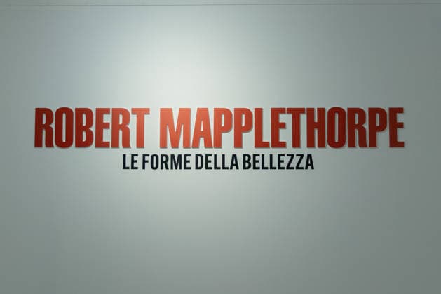IPA85134693 - Press preview of the exhibition Robert Mapplethorpe. The Forms of Beauty at the Ara Pacis Museum in Rome  Copyright: xMatteoxNardonex xx 85134693