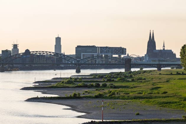 Niedrigwasser in Köln 28.05.2026 Niedrigwasser am Rhein in Köln-Poll bei Sonnenuntergang: Bei einem Rheinpegel von 150 cm am Pegel Köln sind am Ufer großflächige Sand- und Kiesflächen freigelegt. Der Blick von der Rodenkirchener Brücke zeigt den Rhein mit der Kölner Skyline, dem Kölner Dom, der Severinsbrücke, der Deutzer Brücke und den Kranhäusern. In den kommenden Tagen wird allerdings mit ergiebigem Regen gerechnet. Köln Poll Nordrhein-Westfalen Deutschland *** Low water in Cologne 28 05 2026 Low water on the Rhine in Cologne Poll at sunset With a Rhine level of 150 cm at the Cologne gauge, large areas of sand and gravel are exposed on the banks The view from the Rodenkirchen Bridge shows the Rhine with the Cologne skyline, Copyright: xMarcxJohnx