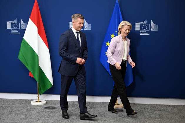 Peter Magyar meets Ursula von der Leyen in Brussels BRUSSELS, BELGIUM - MAY 29: Hungarian Prime Minister Peter Magyar (L) meets with European Commission President Ursula von der Leyen (R) in Brussels, Belgium, on May 29, 2026. Dursun Aydemir Anadolu Brussels Belgium. Editorial use only. Please get in touch for any other usage.  Copyright: x2026xAnadoluxDursunxAydemirx