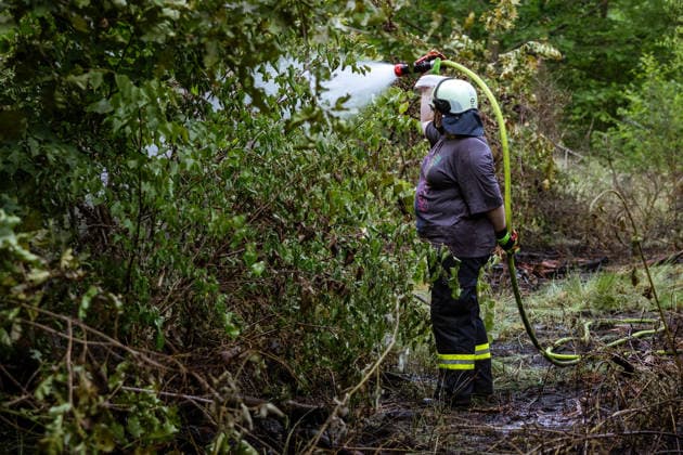 Waldbrand bei Weiterstadt Am 29.05.2026 ist in Weiterstadt-Gräfenhausen westlich der Autobahn A5 ein Waldbrand ausgebrochen. Betroffen war eine rund 900 Quadratmeter große Waldfläche zwischen der Raststätte Gräfenhausen West und dem angrenzenden Steinrodsee. 106 Einsatzkräfte mit 20 Löschfahrzeugen waren vor Ort. Die Feuerwehr brachte den Brand unter Kontrolle und verhinderte eine Ausdehnung auf angrenzende Waldbereiche. Die Nachlöscharbeiten dauerten bis in die Abendstunden an. Weiterstadt Gräfenhausen Hessen Deutschland *** Forest fire near Weiterstadt On 29 05 2026, a forest fire broke out in Weiterstadt Gräfenhausen west of the A5 freeway It affected a forest area of around 900 square meters between the Gräfenhausen West servic