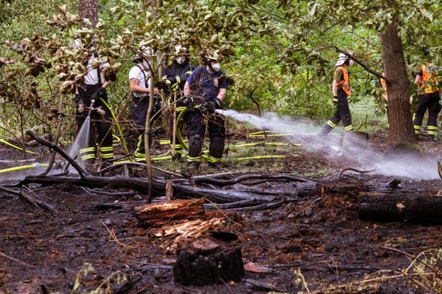 Waldbrand bei Weiterstadt Am 29.05.2026 ist in Weiterstadt-Gräfenhausen westlich der Autobahn A5 ein Waldbrand ausgebrochen. Betroffen war eine rund 900 Quadratmeter große Waldfläche zwischen der Raststätte Gräfenhausen West und dem angrenzenden Steinrodsee. 106 Einsatzkräfte mit 20 Löschfahrzeugen waren vor Ort. Die Feuerwehr brachte den Brand unter Kontrolle und verhinderte eine Ausdehnung auf angrenzende Waldbereiche. Die Nachlöscharbeiten dauerten bis in die Abendstunden an. Weiterstadt Gräfenhausen Hessen Deutschland *** Forest fire near Weiterstadt On 29 05 2026, a forest fire broke out in Weiterstadt Gräfenhausen west of the A5 freeway It affected a forest area of around 900 square meters between the Gräfenhausen West servic