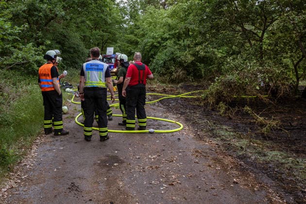 Waldbrand bei Weiterstadt Am 29.05.2026 ist in Weiterstadt-Gräfenhausen westlich der Autobahn A5 ein Waldbrand ausgebrochen. Betroffen war eine rund 900 Quadratmeter große Waldfläche zwischen der Raststätte Gräfenhausen West und dem angrenzenden Steinrodsee. 106 Einsatzkräfte mit 20 Löschfahrzeugen waren vor Ort. Die Feuerwehr brachte den Brand unter Kontrolle und verhinderte eine Ausdehnung auf angrenzende Waldbereiche. Die Nachlöscharbeiten dauerten bis in die Abendstunden an. Weiterstadt Gräfenhausen Hessen Deutschland *** Forest fire near Weiterstadt On 29 05 2026, a forest fire broke out in Weiterstadt Gräfenhausen west of the A5 freeway It affected a forest area of around 900 square meters between the Gräfenhausen West servic