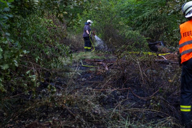 Waldbrand bei Weiterstadt Am 29.05.2026 ist in Weiterstadt-Gräfenhausen westlich der Autobahn A5 ein Waldbrand ausgebrochen. Betroffen war eine rund 900 Quadratmeter große Waldfläche zwischen der Raststätte Gräfenhausen West und dem angrenzenden Steinrodsee. 106 Einsatzkräfte mit 20 Löschfahrzeugen waren vor Ort. Die Feuerwehr brachte den Brand unter Kontrolle und verhinderte eine Ausdehnung auf angrenzende Waldbereiche. Die Nachlöscharbeiten dauerten bis in die Abendstunden an. Weiterstadt Gräfenhausen Hessen Deutschland *** Forest fire near Weiterstadt On 29 05 2026, a forest fire broke out in Weiterstadt Gräfenhausen west of the A5 freeway It affected a forest area of around 900 square meters between the Gräfenhausen West servic
