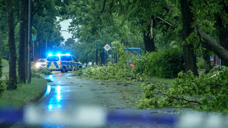 Eine heftige Gewitterfront wütete am Abend in Rheine. Die Kreisstadt versank nach sinnflutartigen Regenfällen, Orkanböen und Hagel im Unwetterchaos. In der Stadt herrscht seit 19 Uhr Ausnahmezustand. Zahlreiche Bäume sind umgestürzt und legen den Verkehr lahm. Ampeln sind auf Grund von Blitzschlägen ausgefallen. Zahlreiche Straßenzüge stehen unter Wasser. Ein Autofahrer versank mit seinem Wagen auf der Bahnhofstraße in den Fluten. Einige Menschen und auch Kinder unterschätzten die Gefahr und wollten die Unterführung durchqueren. Die Polizei schritt ein. Autos mussten abgeschleppt werden, da sie einen Wasserschaden erlitten. Die Feuerwehr kommt aktuell nicht hinterher. Bis in den Samstag hinein müssen die Schäden beseitigt werde