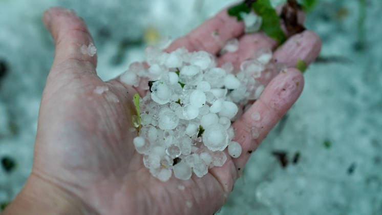 Eine heftige Gewitterfront wütete am Abend in Rheine. Die Kreisstadt versank nach sinnflutartigen Regenfällen, Orkanböen und Hagel im Unwetterchaos. In der Stadt herrscht seit 19 Uhr Ausnahmezustand. Zahlreiche Bäume sind umgestürzt und legen den Verkehr lahm. Ampeln sind auf Grund von Blitzschlägen ausgefallen. Zahlreiche Straßenzüge stehen unter Wasser. Ein Autofahrer versank mit seinem Wagen auf der Bahnhofstraße in den Fluten. Einige Menschen und auch Kinder unterschätzten die Gefahr und wollten die Unterführung durchqueren. Die Polizei schritt ein. Autos mussten abgeschleppt werden, da sie einen Wasserschaden erlitten. Die Feuerwehr kommt aktuell nicht hinterher. Bis in den Samstag hinein müssen die Schäden beseitigt werde