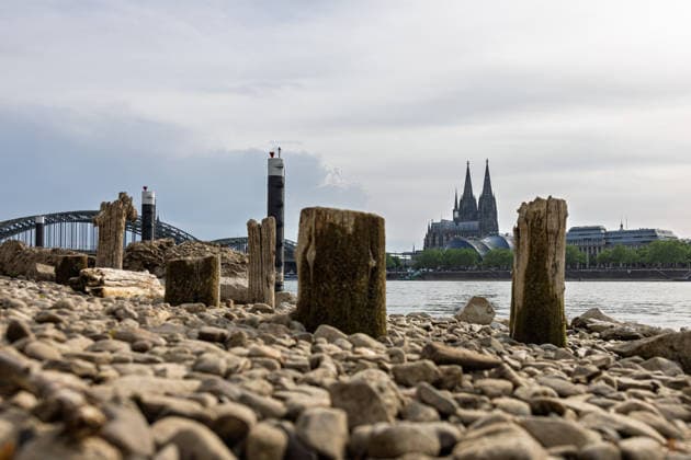 Niedrigwasser in Köln 29.05.2026 Niedrigwasser am Rhein in Köln-Deutz: Bei einem Rheinpegel von 148 cm am Pegel Köln sind am rechtsrheinischen Ufer Kiesflächen und alte Holzpfähle freigelegt. Die Holzpfähle werden bei Niedrigwasser sichtbar; ihre genaue historische Zuordnung gilt als nicht eindeutig. Im Hintergrund sind der Kölner Dom und die Hohenzollernbrücke zu sehen. Köln Deutz Nordrhein-Westfalen Deutschland *** Low water in Cologne 29 05 2026 Low water on the Rhine in Cologne Deutz At a Rhine level of 148 cm at the Cologne gauge, gravel areas and old wooden piles are exposed on the right bank of the Rhine The wooden piles become visible at low water their exact historical classification is not clear Cologne Cathedral and the Copyright: xMarcxJohnx