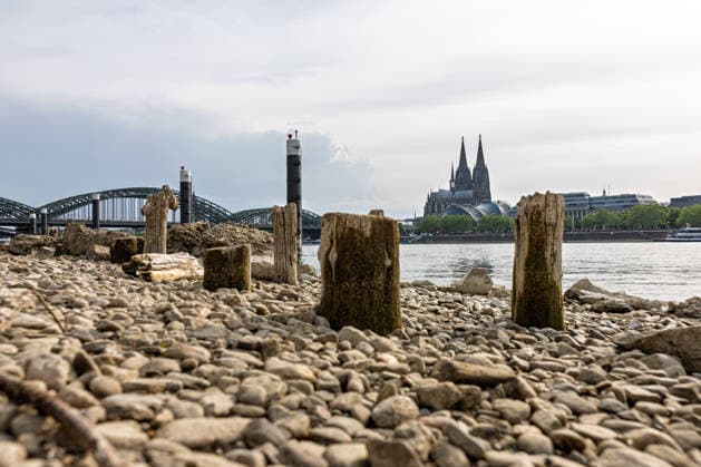 Niedrigwasser in Köln 29.05.2026 Niedrigwasser am Rhein in Köln-Deutz: Bei einem Rheinpegel von 148 cm am Pegel Köln sind am rechtsrheinischen Ufer Kiesflächen und alte Holzpfähle freigelegt. Die Holzpfähle werden bei Niedrigwasser sichtbar; ihre genaue historische Zuordnung gilt als nicht eindeutig. Im Hintergrund sind der Kölner Dom und die Hohenzollernbrücke zu sehen. Köln Deutz Nordrhein-Westfalen Deutschland *** Low water in Cologne 29 05 2026 Low water on the Rhine in Cologne Deutz At a Rhine level of 148 cm at the Cologne gauge, gravel areas and old wooden piles are exposed on the right bank of the Rhine The wooden piles become visible at low water their exact historical classification is not clear Cologne Cathedral and the Copyright: xMarcxJohnx