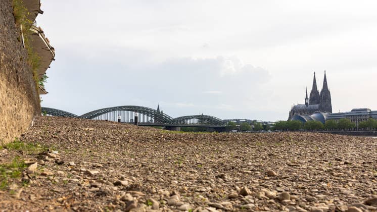 Niedrigwasser in Köln 29.05.2026 Niedrigwasser am Rhein in Köln-Deutz: Bei einem Rheinpegel von 148 cm am Pegel Köln ist das rechtsrheinische Ufer großflächig trockengefallen. Der niedrige Wasserstand legt Kies- und Sandflächen frei; im Hintergrund sind der Kölner Dom und die Hohenzollernbrücke zu sehen. Köln Deutz Nordrhein-Westfalen Deutschland *** Low water in Cologne 29 05 2026 Low water on the Rhine in Cologne Deutz At a Rhine level of 148 cm at the Cologne gauge, the right bank of the Rhine has dried out over a large area The low water level exposes gravel and sand areas Cologne Cathedral and the Hohenzollern Bridge can be seen in the background Cologne Deutz North Rhine-Westphalia Germany Copyright: xMarcxJohnx
