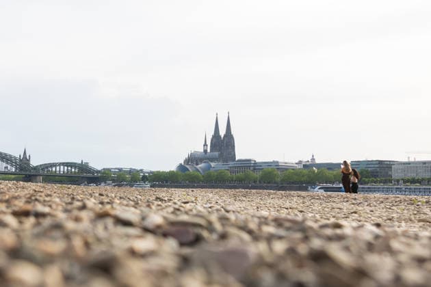 Niedrigwasser in Köln 29.05.2026 Niedrigwasser am Rhein in Köln-Deutz: Bei einem Rheinpegel von 148 cm am Pegel Köln ist das rechtsrheinische Ufer großflächig trockengefallen. Der niedrige Wasserstand legt Kies- und Sandflächen frei; im Hintergrund sind der Kölner Dom und die Hohenzollernbrücke zu sehen. Köln Deutz Nordrhein-Westfalen Deutschland *** Low water in Cologne 29 05 2026 Low water on the Rhine in Cologne Deutz At a Rhine level of 148 cm at the Cologne gauge, the right bank of the Rhine has dried out over a large area The low water level exposes gravel and sand areas Cologne Cathedral and the Hohenzollern Bridge can be seen in the background Cologne Deutz North Rhine-Westphalia Germany Copyright: xMarcxJohnx