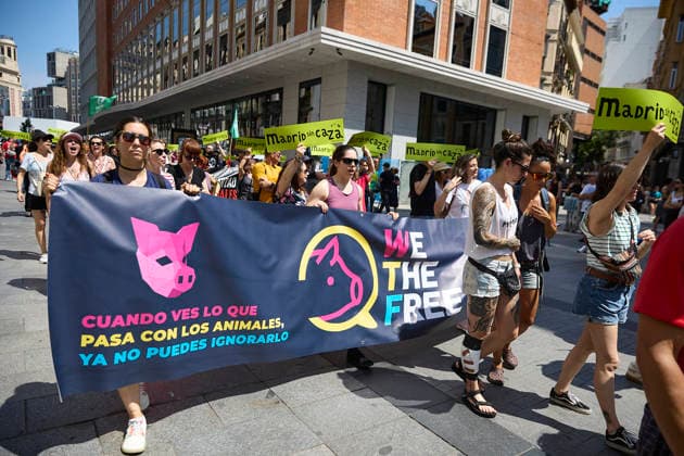 Demonstration Madrid without hunting People carrying banner with slogan When you see what happens to animals you can no longer ignore it during the demonstration against the new Hunting Law of the Community of Madrid, on May 30, 2026, in Madrid Spain Environmental and animal associations unite for the first time in a march under the slogan Madrid without hunting against the draft Law on Hunting and Inland Fishing that the regional government is currently being processed in the Assembly of Madrid 30 MAY 2026 DEMONSTRATION Jesús Hellí Madrid Madrid Spain  Copyright: xJesusxHellinx 7560106