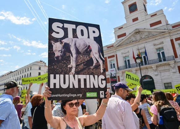 May 30, 2026, Madrid, Madrid, SPAIN: Participants attend the Madrid Without Hunting demonstration held in Callao Square, Madrid, advocating for wildlife protection and promoting urban spaces free from hunting activities. Madrid SPAIN - ZUMAz108 20260530_znp_z108_012 Copyright: xRichardxZubelzux