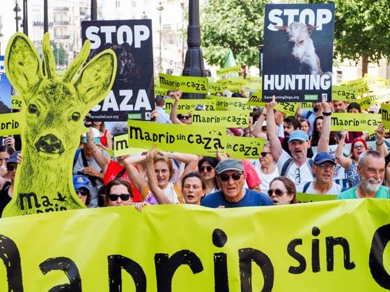 May 30, 2026, Madrid, Madrid, Spain: MADRID, SPAIN - MAY 30: Animal rights groups march through the center of Madrid to Puerta del Sol, demanding an end to hunting practices in Spain. Madrid Spain - ZUMAh199 20260530_zip_h199_005 Copyright: xAaronxHerediax