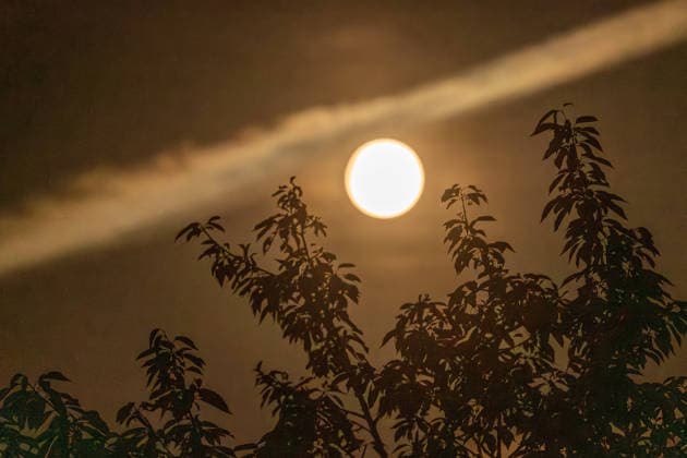 Blue Moon, Blauer Mond, der zweite Vollmond im Mai am Nachthimmel über München, 31. Mai 2026 Deutschland, München, 31. Mai 2026, der zweite Vollmond im Mai am Nachthimmel über München, Blauer Mond, Blue Moon, der Mond leuchtet über einem Garten in München-Waldperlach, Wolkenstreifen, nachts um 1:30 Uhr, kleinster Vollmond des Jahres, *** Blue Moon, Blue Moon, the second full moon in May in the night sky over Munich, May 31, 2026 Germany, Munich, May 31, 2026, the second full moon in May in the night sky over Munich, Blue Moon, Blue Moon, the moon shines over a garden in Munich Waldperlach, cloud streak, at night at 1 30 oclock, smallest full moon of the year,