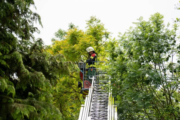 Sturmböen nach Gewitterfront: Feuerwehr verhindert Baumsturz auf Wohnhaus in Ingelheim-Heidesheim Am Sonntag, dem 31.05.2026, sorgte eine markante Gewitterfront in Rheinhessen für zahlreiche Einsätze von Feuerwehr und Rettungsdienst. Im Ingelheimer Stadtteil Heidesheim drohte in der Oberdorfstraße ein durch starken Schädlingsbefall geschädigter Baum auf ein Wohngebäude zu stürzen. Nachdem bereits größere Äste herabgestürzt waren, alarmierte die Feuerwehr zusätzliche Einsatzkräfte sowie Kettensägenführer. Über eine Drehleiter wurden Teile der Baumkrone entfernt, um die Standfestigkeit des Baumes wiederherzustellen und eine Gefährdung angrenzender Wohnhäuser zu verhindern. Die Maßnahmen standen im Zusammenhang mit den stü
