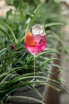 Rosa Cocktail mit Zitrusfrüchten im Garten Refreshing pink cocktail with orange slice and ice served in elegant wine glass among lush green plants (License=RF) Copyright: xZoonar.com MaximxSparishx 25130877