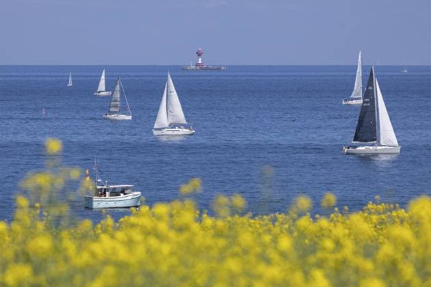 Segelboote, Boote, Rapsfeld, Ostsee, Leuchtturm Kiel Lotsenstation, Altbülk, Strande, Schleswig-Holstein, Deutschland Sailboats, boats, rapeseed field, Baltic Sea, lighthouse Kiel pilot station, Altbülk, beaches, Schleswig-Holstein, Germany Copyright: imageBROKER SiegfriedxKuttig iblshg17922762.jpg