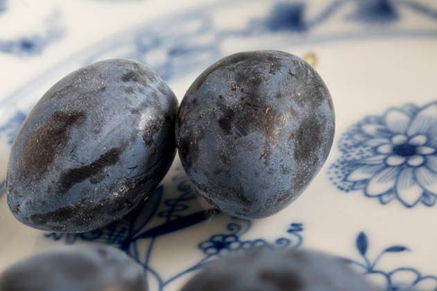 IMAGO Creative, Jahreszeit Sommer, Food, Pflaume zwetschgen,zwetsche,zwetschen,zwetschge,zwetschke,zwetschken ** plum,plums 2yo-htc