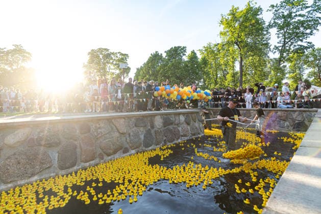 01.06.2026, Tallinn. The 13th annual Duck Race took place in Kadriorg Park. It is a charity event, which aims to raise money in support of children with cancer, and their families. 20000 rubber ducks were released in the canal and over 300000â‚¬ was raised. Photo: Martin Pedaja Postimees Tallinn Harjumaa Estonia 1MP01JUN2026D29  Copyright: xMartinxPedajax Yellow rubber ducks in a canal