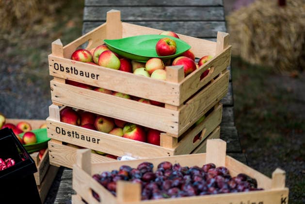 IMAGO Creative, Jahreszeit Sommer, Food, Pflaume pflaumen,äpfel,obstbauer,pflaume,zwetschge,zwetschgen,apfel ** plums,apples,obstbauer,plum,apple 4yz-gi9