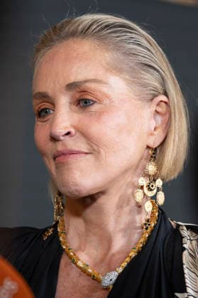 Sharon Stone at the photocall for the Elle Style Awards 2026 at the Casino de Madrid - 02 Jun 2026 American actress Sharon Stone attends the photocall for the Elle Style Awards 2026 at the Casino de Madrid. Madrid Spain Copyright: xAtilanoxGarciax xSOPAxImagesx photos21088