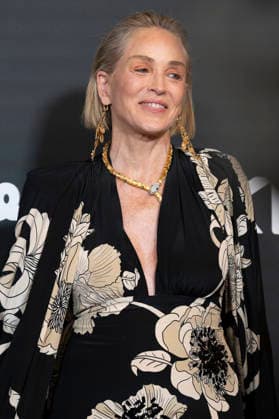 June 2, 2026, Madrid, Spain: American actress Sharon Stone attends the photocall for the Elle Style Awards 2026 at the Casino de Madrid. Madrid Spain - ZUMAs197 20260602_aaa_s197_165 Copyright: xAtilanoxGarciax