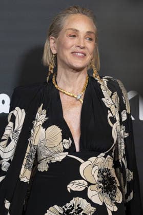 Sharon Stone American actress Sharon Stone attends the photocall for the Elle Style Awards 2026 at the Casino de Madrid on June 2, 2026, Spain Featuring: American actress Sharon Stone attends the photocall for the Elle Style Awards 2026 at the Casino de Madrid on June 2, 2026, Spain. Where: Madrid, Spain When: 02 Jun 2026 Credit: Oscar Gonzalez WENN Madrid Spain Copyright: xOscarxGonzalez WENNx wenn41377924 OFA ZOJx wenn41377924