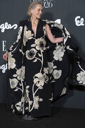Sharon Stone American actress Sharon Stone attends the photocall for the Elle Style Awards 2026 at the Casino de Madrid on June 2, 2026, Spain Featuring: American actress Sharon Stone attends the photocall for the Elle Style Awards 2026 at the Casino de Madrid on June 2, 2026, Spain. Where: Madrid, Spain When: 02 Jun 2026 Credit: Oscar Gonzalez WENN Madrid Spain Copyright: xOscarxGonzalez WENNx wenn41377940 OFA ZOJx wenn41377940