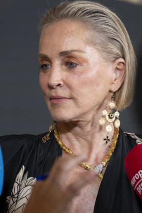 Sharon Stone American actress Sharon Stone attends the photocall for the Elle Style Awards 2026 at the Casino de Madrid on June 2, 2026, Spain Featuring: American actress Sharon Stone attends the photocall for the Elle Style Awards 2026 at the Casino de Madrid on June 2, 2026, Spain. Where: Madrid, Spain When: 02 Jun 2026 Credit: Oscar Gonzalez WENN Madrid Spain Copyright: xOscarxGonzalez WENNx wenn41377958 OFA ZOJx wenn41377958
