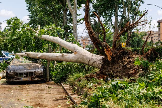 June 3, 2026, Rome, Italia, Italy: Storm damage following a waterspout in Rome s Prati Fiscali neighborhood, June 3, 2026 *** Local Caption *** Danni provocati dal maltempo dopo una tromba nel quartiere Prati Fiscali Roma, 03 06 2026 Rome Italy  - ZUMAa289 20260603_zia_a289_059 Copyright: xFrancescoxFotiax xAgfx