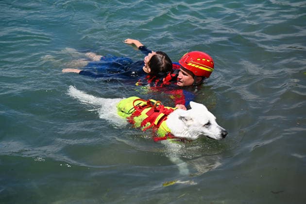 Wasserwacht praesentiert eine Rettungsuebung mit einem speziell trainierten Wasserrettungshund. Retter und Diensthund im Wasser,bergen einen jugendlichen Schwimmer,Bergung. DLRG stellt ihre Schnell-Einsatz-Gruppe fuer Rettungseinsaetze auf dem Wasser vor. Die Bayerische Sicherheit am und im Wasser: Bayerns Innenminister Joachim Herrmann gibt Startschuss für Social-Media-Kampagne - DLRG und Wasserwacht demonstrieren Schutz- und Rettungsmassnahmen am 03.06.2026 am Langwieder See. *** Water rescue service presents a rescue exercise with a specially trained water rescue dog Rescuers and service dog in the water, rescue a young swimmer, rescue DLRG presents its rapid intervention group for rescue operations on the water Bavarian safety on a