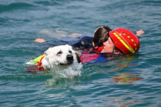 News Bilder des Tages Wasserwacht praesentiert eine Rettungsuebung mit einem speziell trainierten Wasserrettungshund. Retter und Diensthund im Wasser,bergen einen jugendlichen Schwimmer,Bergung. DLRG stellt ihre Schnell-Einsatz-Gruppe fuer Rettungseinsaetze auf dem Wasser vor. Die Bayerische Sicherheit am und im Wasser: Bayerns Innenminister Joachim Herrmann gibt Startschuss für Social-Media-Kampagne - DLRG und Wasserwacht demonstrieren Schutz- und Rettungsmassnahmen am 03.06.2026 am Langwieder See. *** Water rescue service presents a rescue exercise with a specially trained water rescue dog Rescuers and service dog in the water, rescue a young swimmer, rescue DLRG presents its rapid intervention group for rescue operations on the water Bavarian safety on a