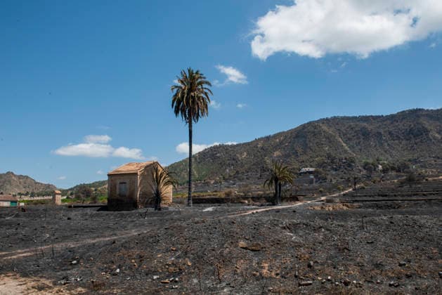 Second day of extinguishing the fire in Los Garres Murcia and has forced preventive evictions Burned areas by fire in Los Garres, June 2, 2026, in Murcia, Region of Murcia Spain The fire declared yesterday afternoon June 3 in the Murcian districts of Los Garres and Lages caused the activation of the Infomur Plan in emergency phase, in situation two, A total of 250 troops from the Region of Murcia are working in the area, along with local and state resources Units of the Third Battalion of Intervention of the Military Emergency Unit UME have gone from their base in Bétera Valencia to help in fighting this fire, after being requested by the President of the regional government, Fernando López Miras 03 JUNE 2026 Víctor Ferná Murcia, Region de  Copyright: xVictorxFernandezx 7569326