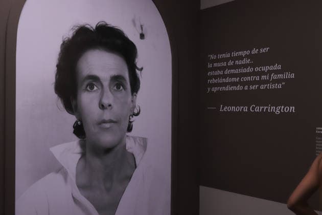 Leonora Carrington ˜Magic Labyrinth™ Exhibition A portrait of Leonora Carrington is seen during a tour of the immersive exhibition Magic Labyrinth by Leonora Carrington. on June 3, 2026 in Mexico City, Mexico. (Photo by Carlos Santiago Eyepix Group) Copyright: xCarlosxSantiago xEyepixxGroupx CS_03062026_185766