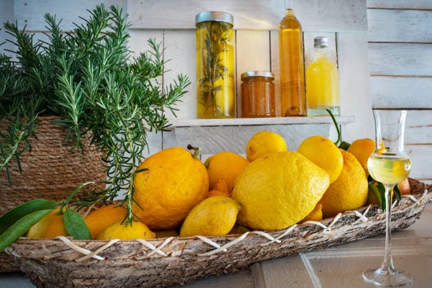 zitrone,limoncello,zitronen ** lemon,limoncello,lemons,limoncellos m72-ko1