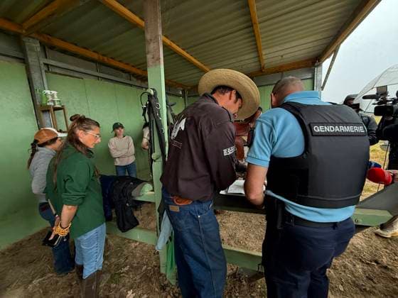 RECORD DATE NOT STATED Gendarmes And Equestrian Volunteers Search On Horseback For Missing Girl Lyhanna - Fleurance Gendarmes accompanied by volunteers from a local equestrian center begin a search session on horseback in the area surrounding Fleurance, Gers, France on June 3, 2026, as the search for 11-year-old Lyhanna, who disappeared on May 29 in the Fleurance area, continues to mobilize significant investigative resources; a major development in the judicial inquiry saw suspect Jerome Barella, 41, charged and placed in pre-trial detention on suspicion of kidnapping and illegal confinement of a minor under the age of 15. Photo by JMP ABACAPRESS.COM Fleurance France  Copyright: xJMP ABACAx