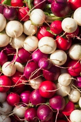 IMAGO Creative, Sommer, Food, Radieschen radieschen ** radish,radishs vly-l0w