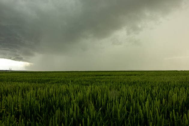 Unwetter ziehen über Deutschland Am 04.06.2026 zogen mehrere Gewitter und Unwetter über weite Teile Deutschlands. Einer der Schwerpunkte lag in Nordrhein-Westfalen. Starke Windscherungen sorgten für mehrere Tornadoverdachtsfälle. Die Unwetter wurden von Starkregen, Sturmböen und Hagel begleitet. Ein Downburst (starke Fallböe) traf die Region Ense, Soest und Möhnesee in der Zeit von 17:00 Uhr bis 17:45 Uhr. Soest Hattrop Nordrhein-Westfalen Deutschland *** Thunderstorms move across Germany On 4 June 2026, several thunderstorms and storms moved across large parts of Germany One of the focal points was in North Rhine-Westphalia Strong wind shear caused several suspected tornadoes The thunderstorms were accompanied by heavy rain, squalls