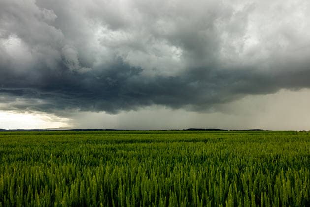 Unwetter ziehen über Deutschland Am 04.06.2026 zogen mehrere Gewitter und Unwetter über weite Teile Deutschlands. Einer der Schwerpunkte lag in Nordrhein-Westfalen. Starke Windscherungen sorgten für mehrere Tornadoverdachtsfälle. Die Unwetter wurden von Starkregen, Sturmböen und Hagel begleitet. Ein Downburst (starke Fallböe) traf die Region Ense, Soest und Möhnesee in der Zeit von 17:00 Uhr bis 17:45 Uhr. Soest Hattrop Nordrhein-Westfalen Deutschland *** Thunderstorms move across Germany On 4 June 2026, several thunderstorms and storms moved across large parts of Germany One of the focal points was in North Rhine-Westphalia Strong wind shear caused several suspected tornadoes The thunderstorms were accompanied by heavy rain, squalls