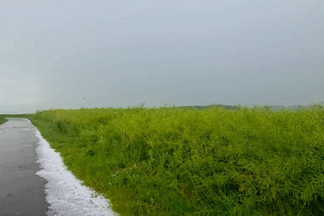 RECORD DATE NOT STATED Unwetter ziehen über Deutschland Am 04.06.2026 zogen mehrere Gewitter und Unwetter über weite Teile Deutschlands. Einer der Schwerpunkte lag in Nordrhein-Westfalen. Starke Windscherungen sorgten für mehrere Tornadoverdachtsfälle. Die Unwetter wurden von Starkregen, Sturmböen und Hagel begleitet. Ein Downburst (starke Fallböe) traf die Region Ense, Soest und Möhnesee in der Zeit von 17:00 Uhr bis 17:45 Uhr. Soest Hattrop Nordrhein-Westfalen Deutschland *** Thunderstorms move across Germany On 4 June 2026, several thunderstorms and storms moved across large parts of Germany One of the focal points was in North Rhine-Westphalia Strong wind shear caused several suspected tornadoes The thunderstorms were accompanied by heavy rain, squalls