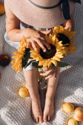 Hand touching a blooming sunflower on a summer picnic blanket model released, Symbolfoto, KANF00207