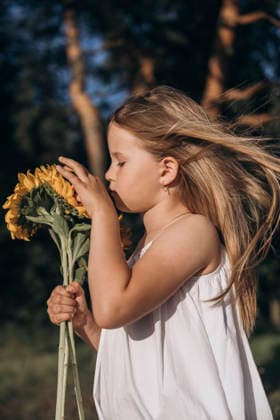 Smelling a sunflower outdoors with windblown hair model released, Symbolfoto, KANF00226