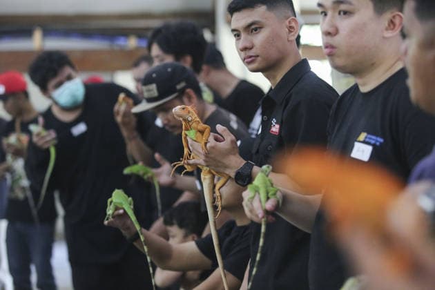 Iguana enthusiasts take part in reptile contest in Bogor BOGOR, INDONESIA - JUNE 6: Iguana enthusiasts participate in the Reptile Contest in Bogor, West Java, Indonesia, on June 6, 2026. The competition evaluated reptiles based on health, body proportions, color quality, and skin condition. Agoes Rudianto Anadolu Bogor Indonesia. Editorial use only. Please get in touch for any other usage.  Copyright: x2026xAnadoluxAgoesxRudiantox