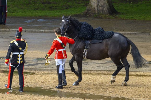 The Colonel’s Review for Trooping the Colour in London LONDON, UNITED KINGDOM - JUNE 06: A member of The King’s Troop Royal Horse Artillery loses control of their horse taking part in The Colonel’s Review ahead of The Kings Birthday Parade in London, United Kingdom in London, United Kingdom on June 06, 2026 Ray Tang Anadolu London United Kingdom. Editorial use only. Please get in touch for any other usage.  Copyright: x2026xAnadoluxRayxTangx