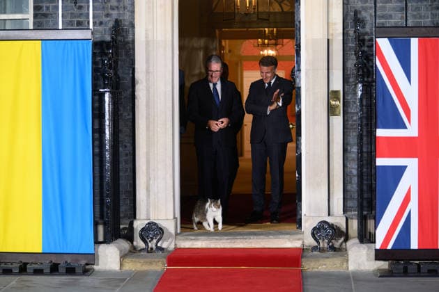 Quad-lateral Meeting On Ukraine at Downing Street, London, UK - 07 June 2026 Larry The Cat leads French President Emmanuel Macron, British Prime Minister Sir Keir Starmer, German Chancellor Frederich Merz and Ukrainian President Volodymyr Zelenskyy out for a photo in Downing Street, London, England, UK on Sunday 7 June, 2026., Credit:Justin Ng Avalon UK, England, London, Downing Street  Copyright: xJustinxNgx xAvalonx 1108706523